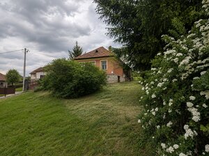 NA PREDAJ _ dva domy _ 73m² a 41m² _  pozemok 3000m²_Szőlősardó — foto 2
