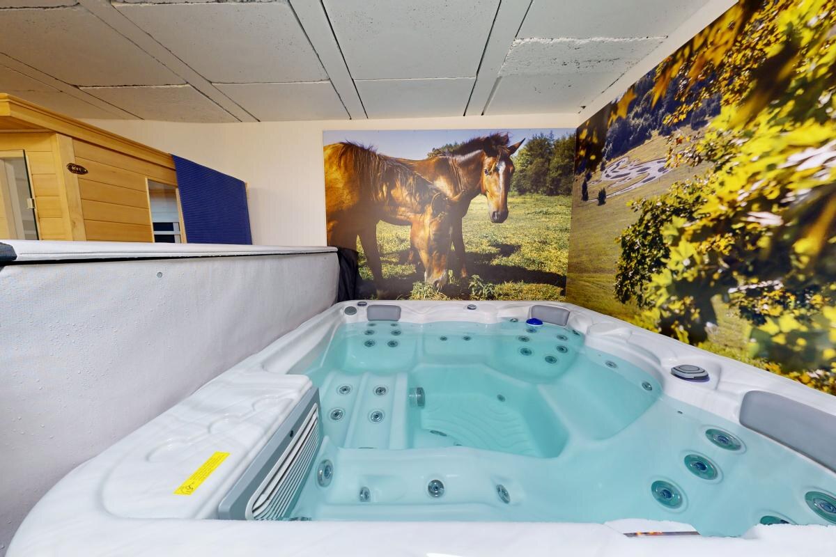 NA PREDAJ _ vidiecky dom_Národný park Aggtelek _ s  WELLNESS ZÓNOU — foto 18