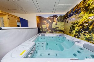 NA PREDAJ _ vidiecky dom_Národný park Aggtelek _ s  WELLNESS ZÓNOU — foto 18