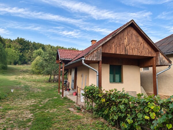 MAĎARSKO _4 iz. RD + malý dom _ pozemok 1568m²_ Tornabarakony