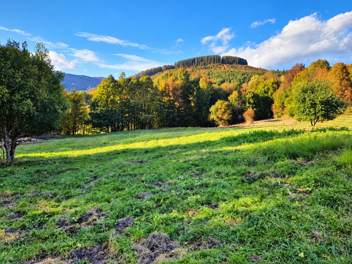 Pozemok 3611m2 v obci Zubák , okres Púchov — foto 2
