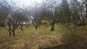 Záhradná chatka  Trenčianske Teplice -REZERVOVANÉ — foto 8