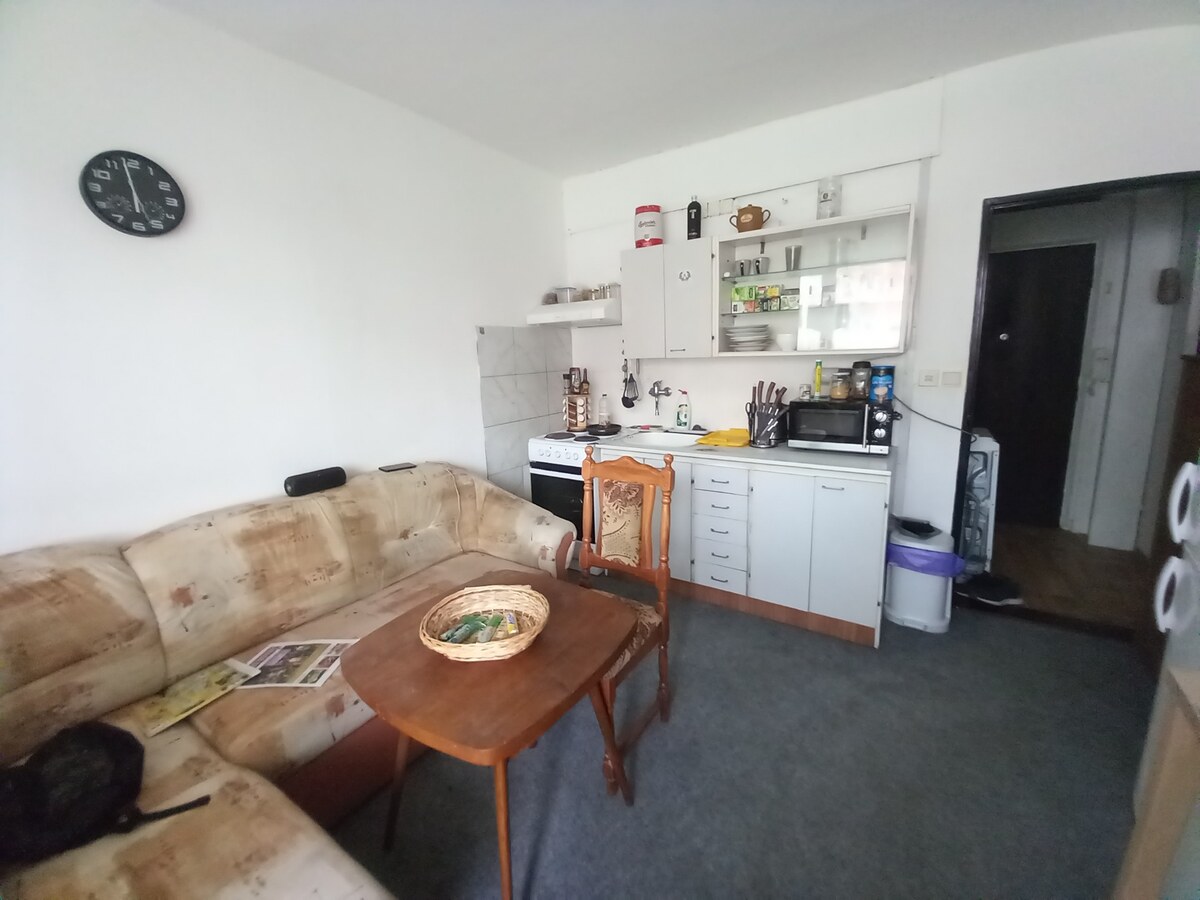 Výborná ponuka! Predaj šikovný 1-izbový byt + 2x loggia, v peknom, tic — foto 4