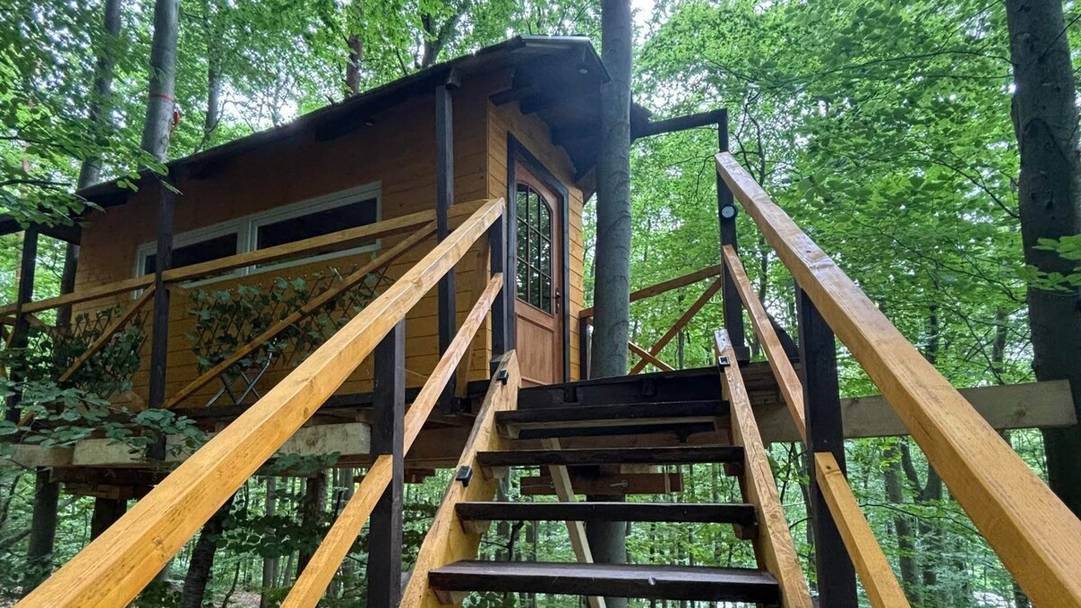 Unikátny domček v korunách stromov (Treehouse) 35m2 s veľkým pozemkom