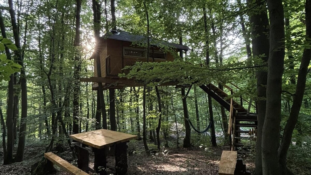 Unikátny domček v korunách stromov (Treehouse) 35m2 s veľkým pozemkom — foto 2
