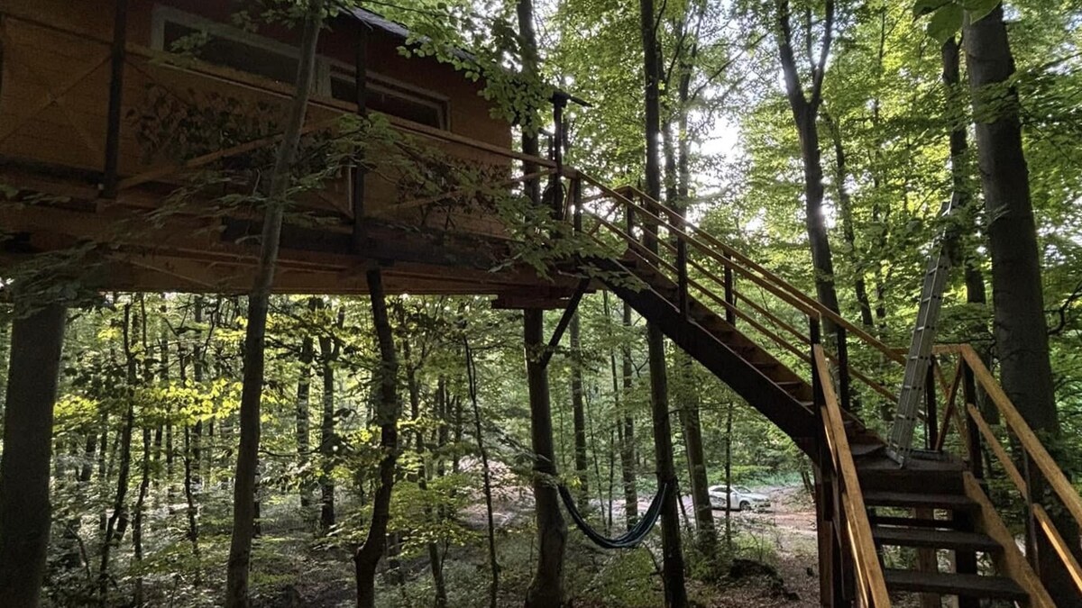Unikátny domček v korunách stromov (Treehouse) 35m2 s veľkým pozemkom — foto 3