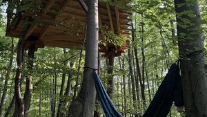 Unikátny domček v korunách stromov (Treehouse) 35m2 s veľkým pozemkom — foto 5