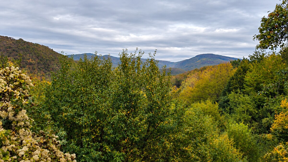 JEDINEČNÁ NEHNUTEĽNOSŤ POD HRADOM TEMATÍN – RODINNÝ DOM + 13046m2 — foto 9