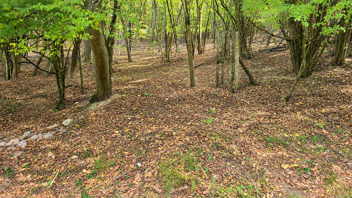 JEDINEČNÁ NEHNUTEĽNOSŤ POD HRADOM TEMATÍN – RODINNÝ DOM + 13046m2 — foto 13