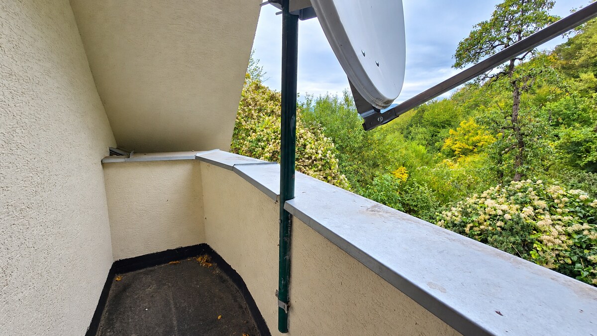 JEDINEČNÁ NEHNUTEĽNOSŤ POD HRADOM TEMATÍN – RODINNÝ DOM + 13046m2 — foto 4