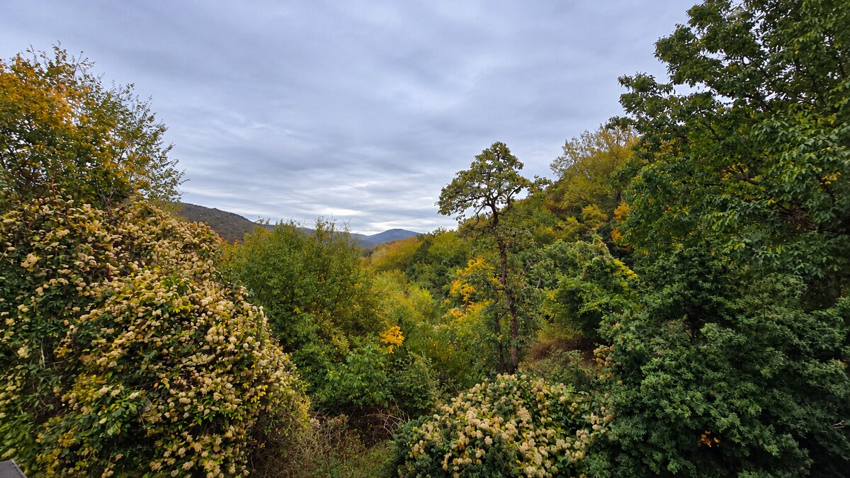 JEDINEČNÁ NEHNUTEĽNOSŤ POD HRADOM TEMATÍN – RODINNÝ DOM + 13046m2 — foto 8