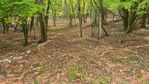 JEDINEČNÁ NEHNUTEĽNOSŤ POD HRADOM TEMATÍN – RODINNÝ DOM + 13046m2 — foto 13