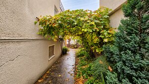 Priestranný rodinný dom na Floreáte v Piešťanoch – pozemok 616 m² — foto 14