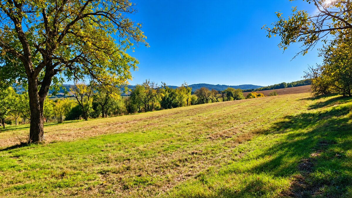 Rekreačný pozemok v obci a predsa trochu na samote 1192 m², Polianka