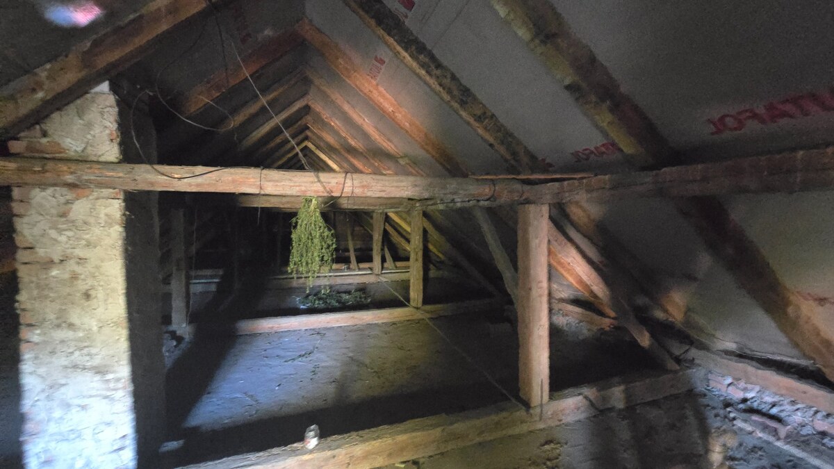 NOVINKA! Rodinný dom s veľkorysým pozemkom 923 m², garážou – Dubovany — foto 29