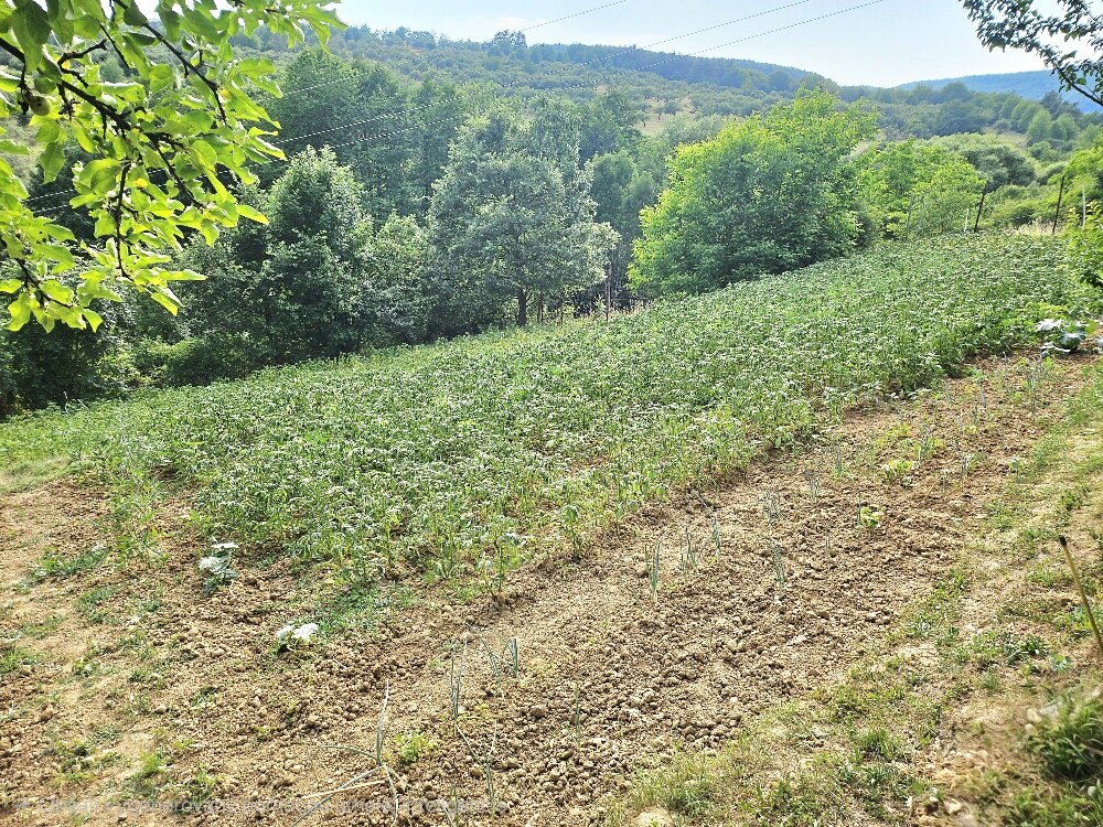 3 izbový byt KŠINNÁ -71m2 - so ZÁHRADOU/ LOGGIA /PIVNICA — foto 10