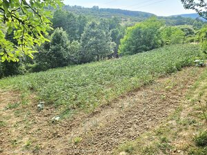 3 izbový byt KŠINNÁ -71m2 - so ZÁHRADOU/ LOGGIA /PIVNICA — foto 10
