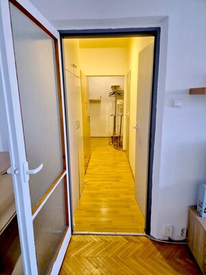 Prenájom 1-izbového bytu, A. Hlinku Piešťany — foto 9