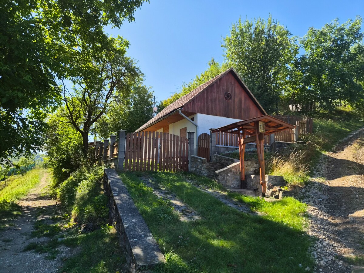 Víkendová chalupa Mikušovce, pozemok 281m2 — foto 6