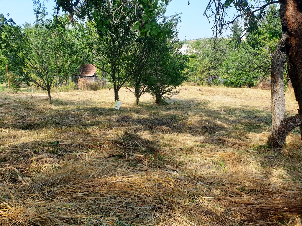 Investičný pozemok "záhrada" o výmere 691 m2 - Nové Mesto n/V — foto 5