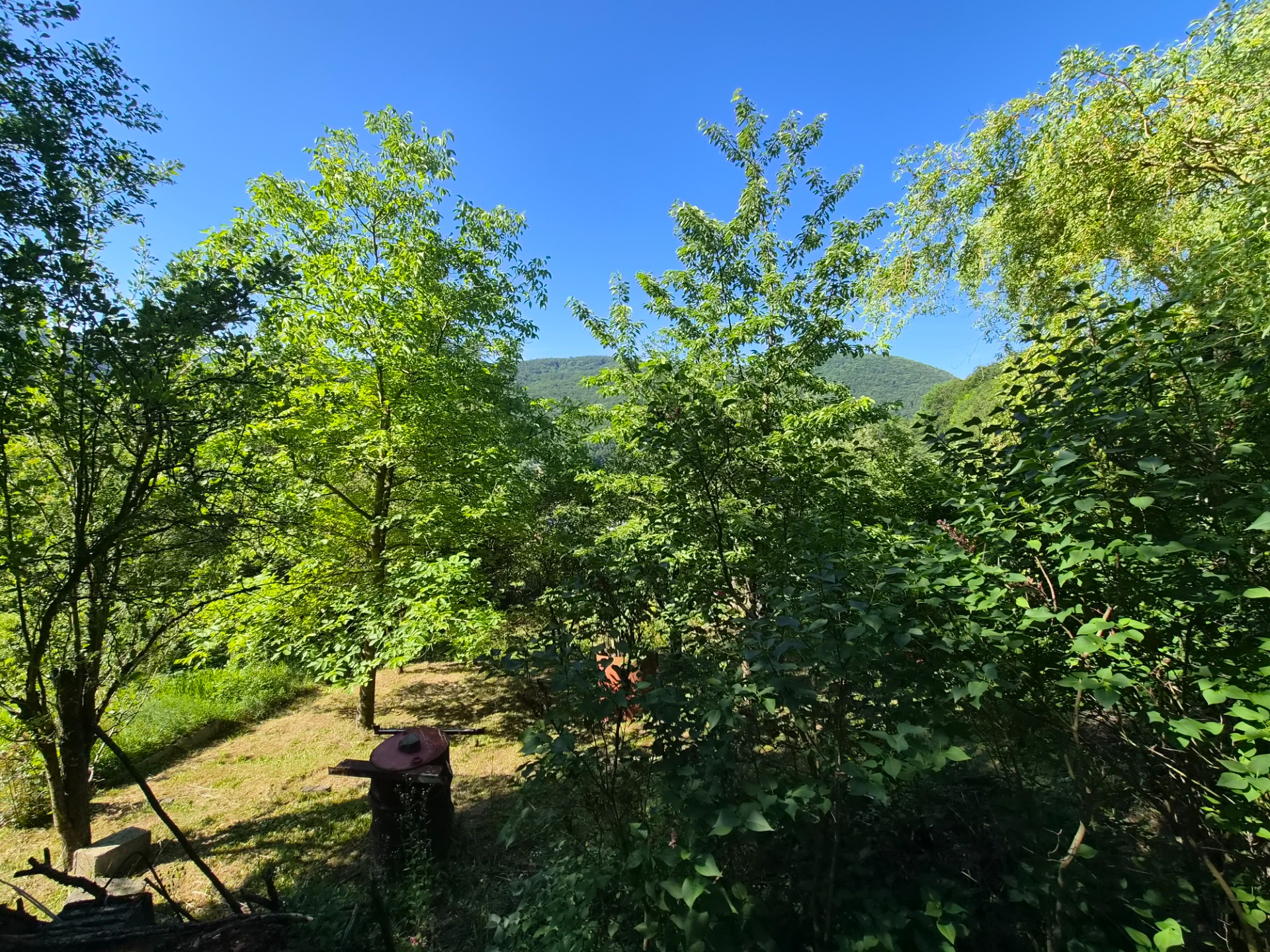 Záhradná chatka Trenčianske Teplice, pozemok 279m2 — foto 3