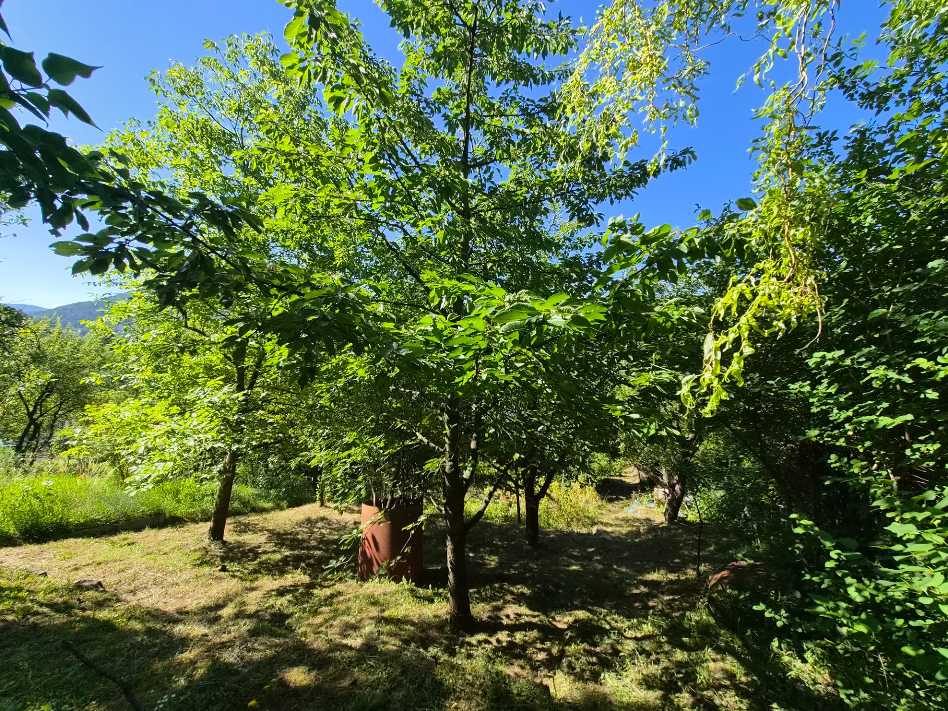 Záhradná chatka Trenčianske Teplice, pozemok 279m2 — foto 7