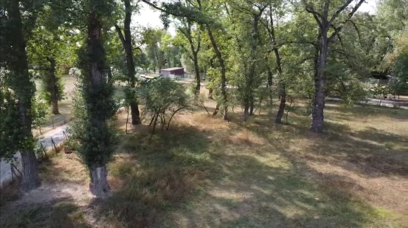 Rekreačný pozemok 4 063 m² v atraktívnom prírodnom prostredí Piešťan — foto 7