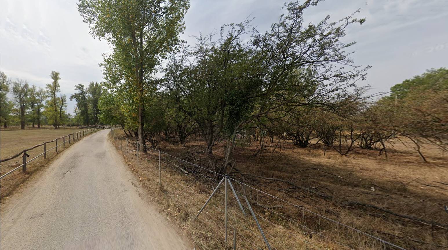Rekreačný pozemok 4 063 m² v atraktívnom prírodnom prostredí Piešťan — foto 6