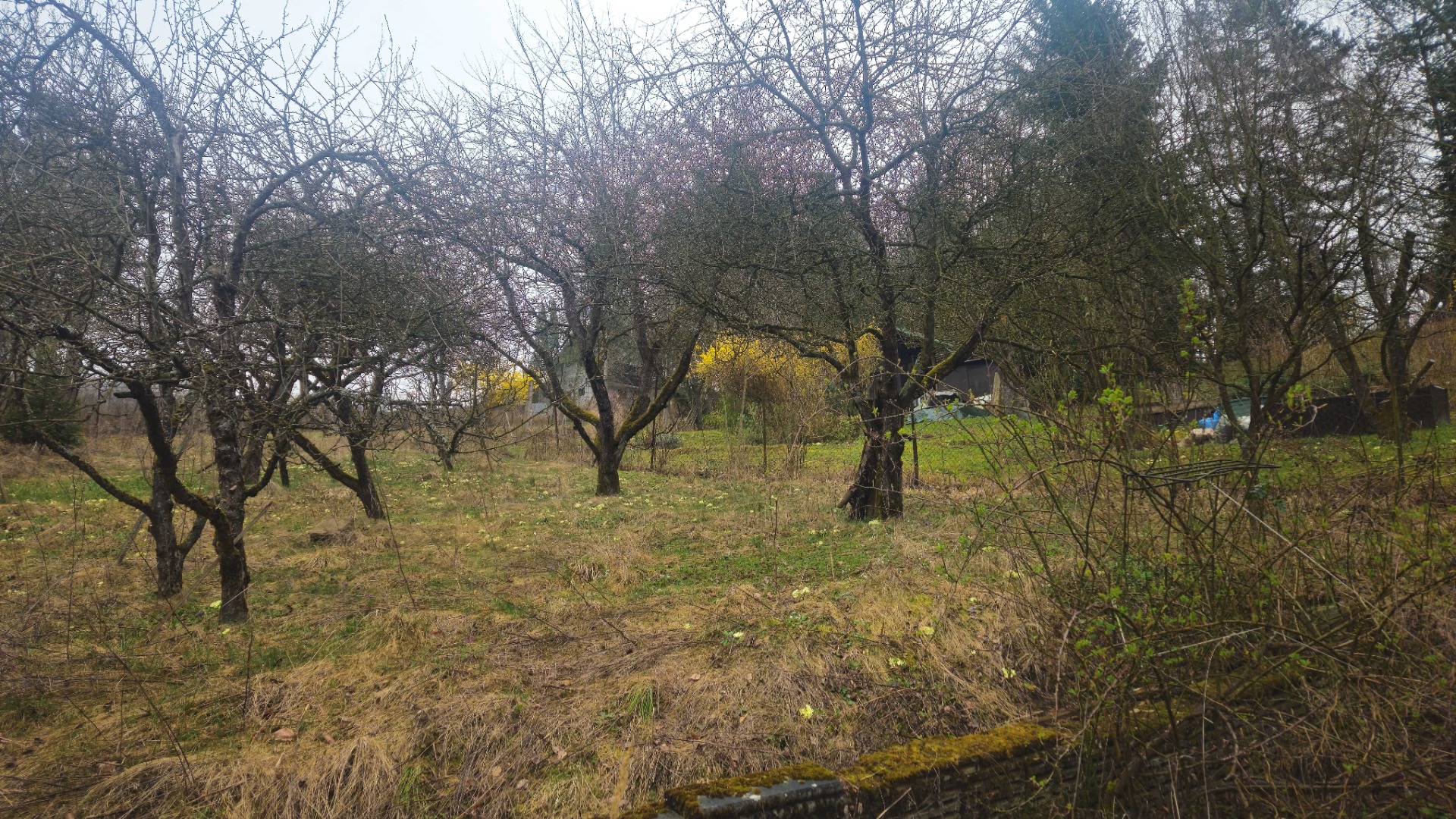 Záhradná chatka  Trenčianske Teplice -REZERVOVANÉ — foto 8