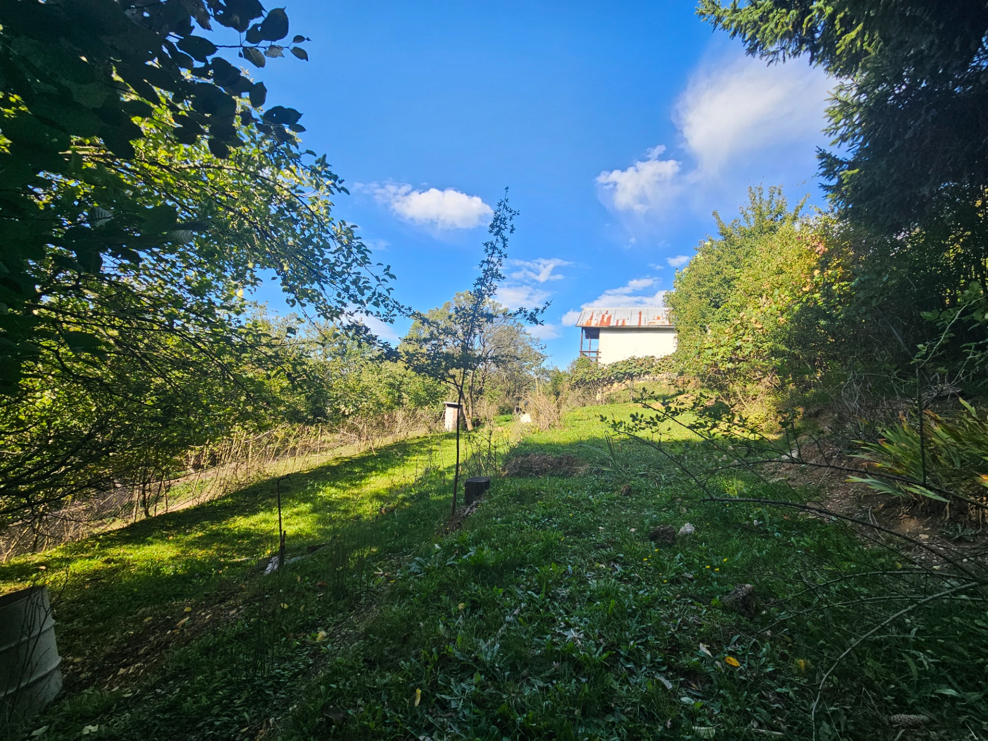 Predaj záhrady, Trenčín — foto 3