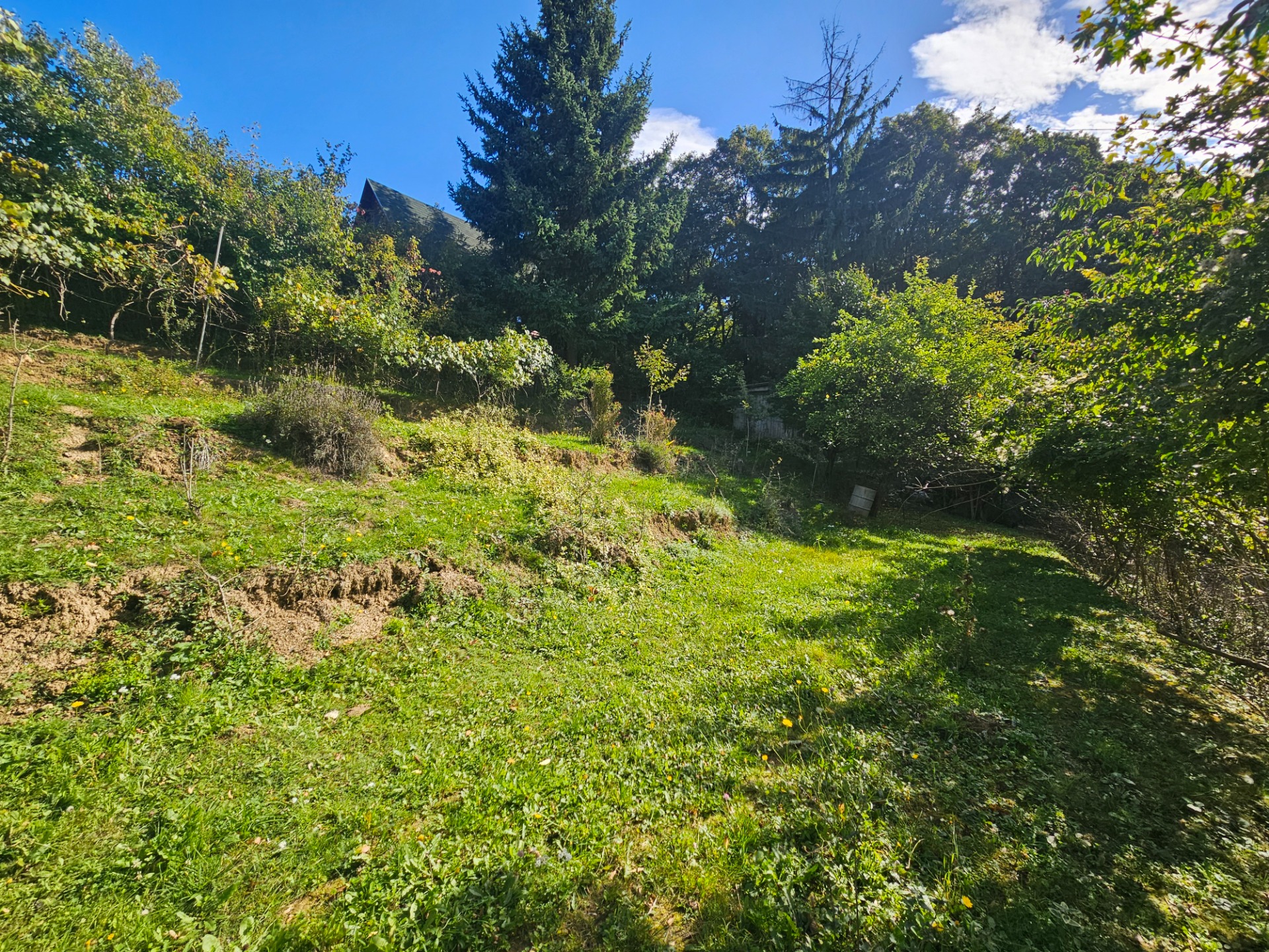 Predaj záhrady, Trenčín — foto 4