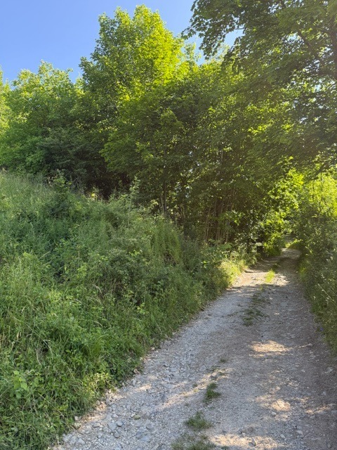 KRÁSNY rekreačný pozemok 709 m2 Zliechov - SUPER CENA — foto 15