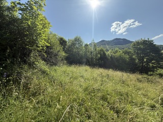 KRÁSNY rekreačný pozemok 709 m2 Zliechov - SUPER CENA — foto 3