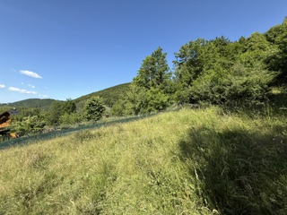 KRÁSNY rekreačný pozemok 709 m2 Zliechov - SUPER CENA — foto 7
