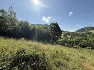 KRÁSNY rekreačný pozemok 709 m2 Zliechov - SUPER CENA — foto 1