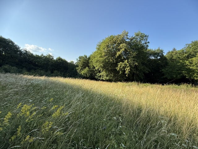 Veľký rekreačný pozemok s chatkou, Streženice (Púchov), 2400 m2 — foto 6