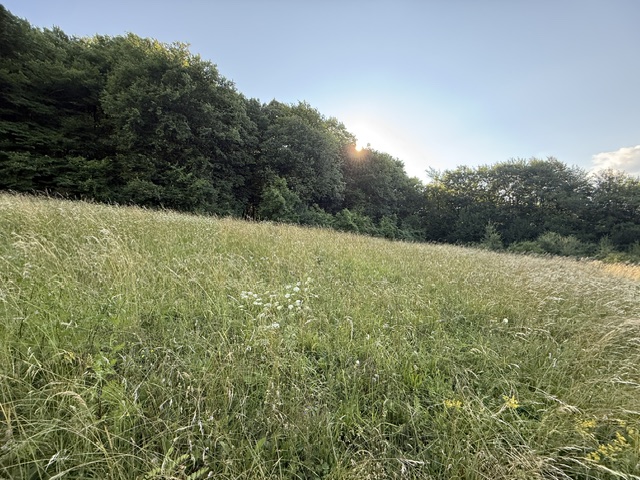 Veľký rekreačný pozemok s chatkou, Streženice (Púchov), 2400 m2 — foto 7