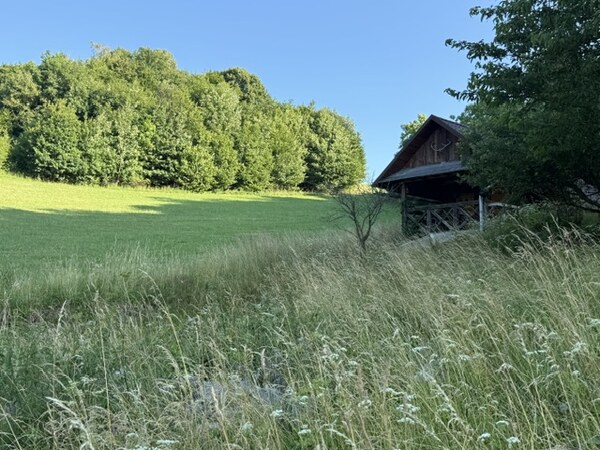 Veľký rekreačný pozemok s chatkou, Streženice (Púchov), 2400 m2