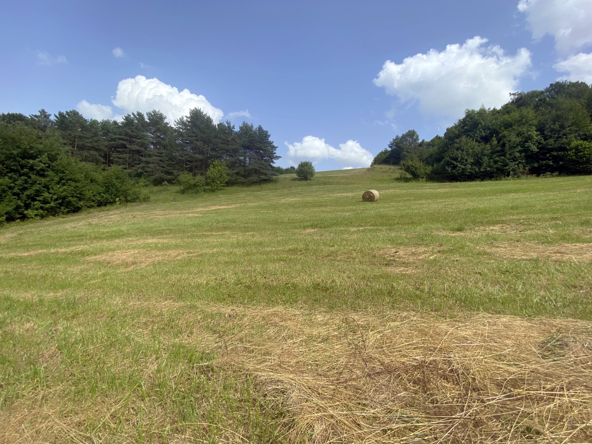 Veľký rekreačný pozemok s chatkou, Streženice (Púchov), 2400 m2 — foto 3