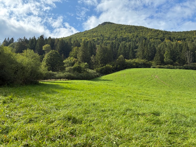 Na predaj Stavebný pozemok Terchová, Vrátna - 3425 m2 — foto 2