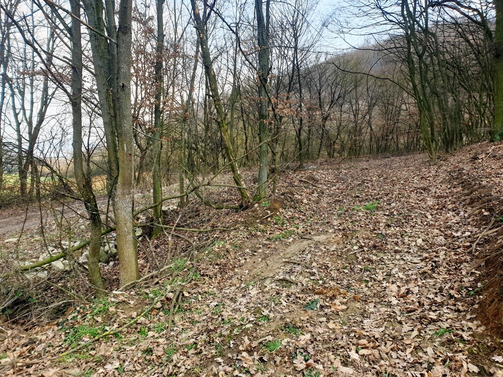 Rekreačný pozemok pri lese 1139 m2 - Trenčianske Bohuslavice — foto 3