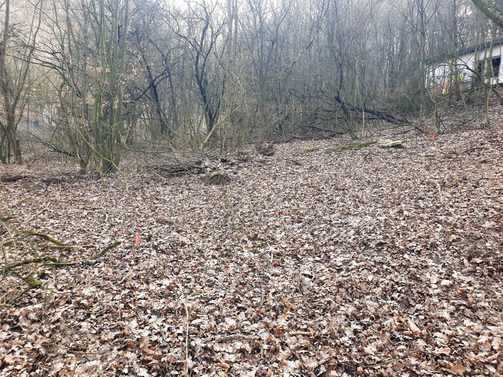 Rekreačný pozemok pri lese 1139 m2 - Trenčianske Bohuslavice — foto 7