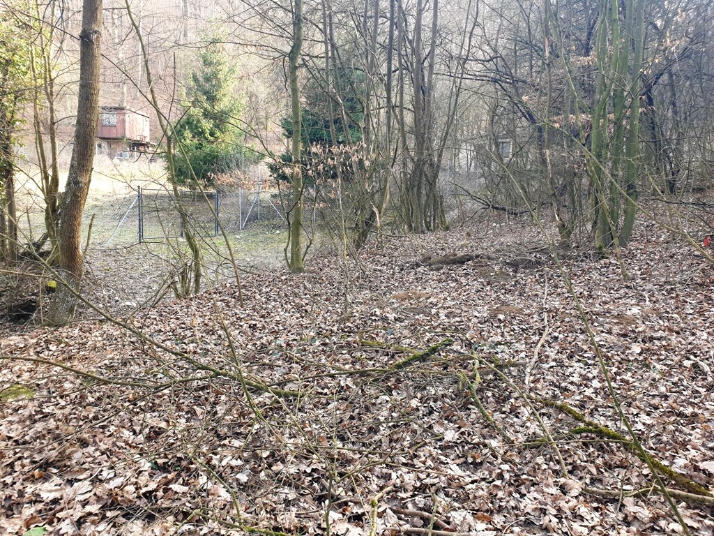 Rekreačný pozemok pri lese 1139 m2 - Trenčianske Bohuslavice — foto 9