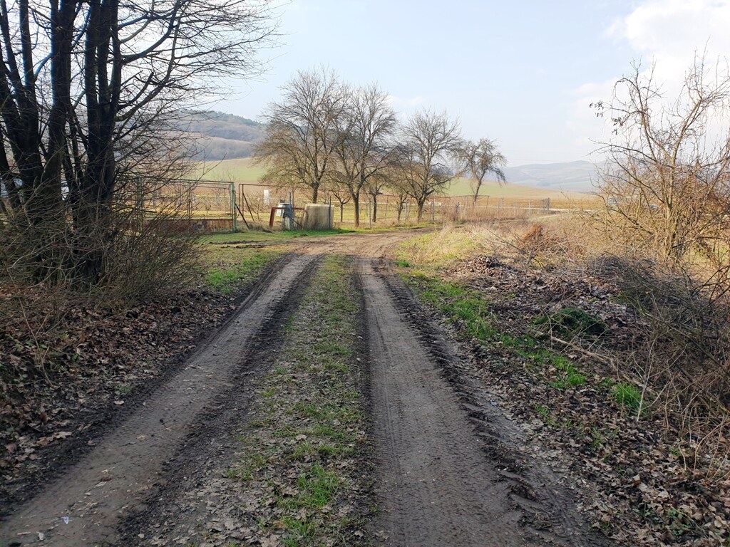 Rekreačný pozemok pri lese 1139 m2 - Trenčianske Bohuslavice — foto 10