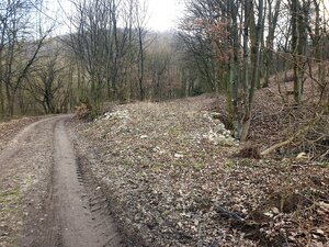 Rekreačný pozemok pri lese 1139 m2 - Trenčianske Bohuslavice — foto 2