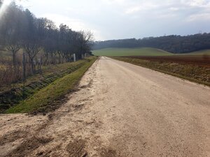 Rekreačný pozemok pri lese 1139 m2 - Trenčianske Bohuslavice — foto 11