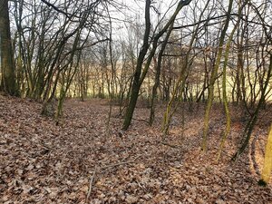 Rekreačný pozemok pri lese 1139 m2 - Trenčianske Bohuslavice — foto 6
