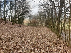 Rekreačný pozemok pri lese 1139 m2 - Trenčianske Bohuslavice — foto 8