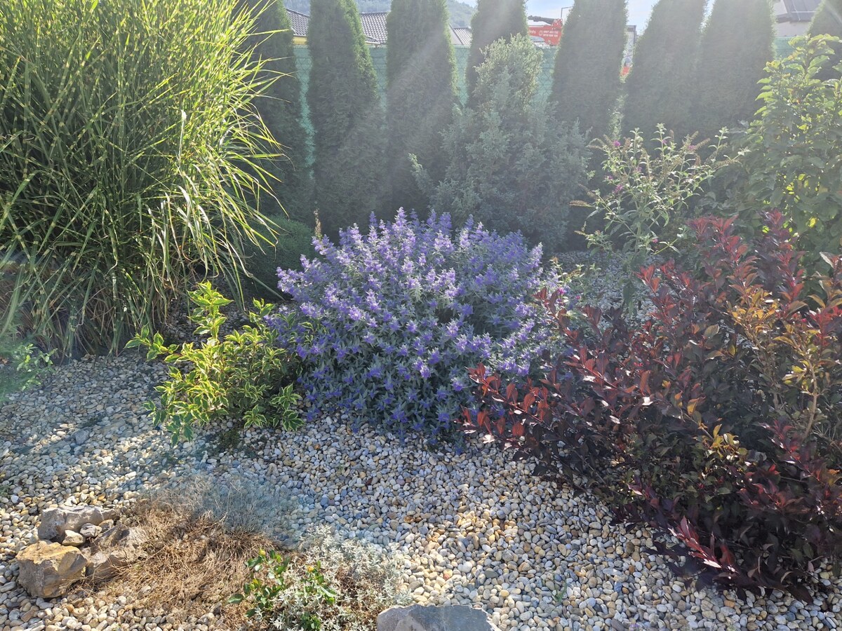 Novostavba - bungalov 100 m2 v obci Košeca, pozemok 800 m2 — foto 24