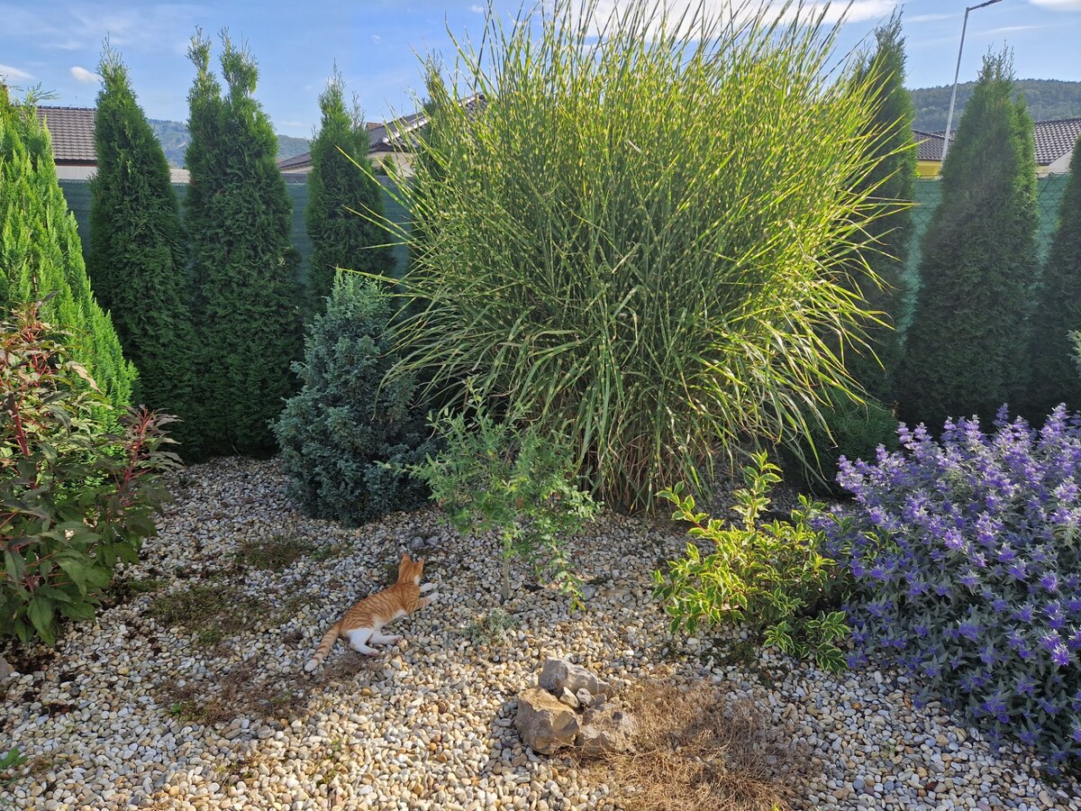 Novostavba - bungalov 100 m2 v obci Košeca, pozemok 800 m2 — foto 26